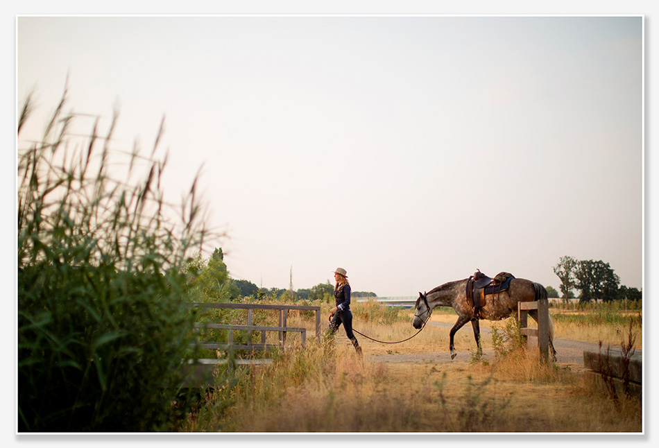 Paardenfotografie Den Bosch