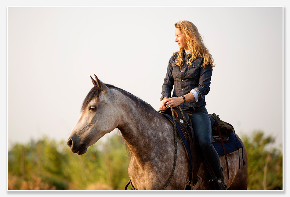 Paardenfotografie Den Bosch