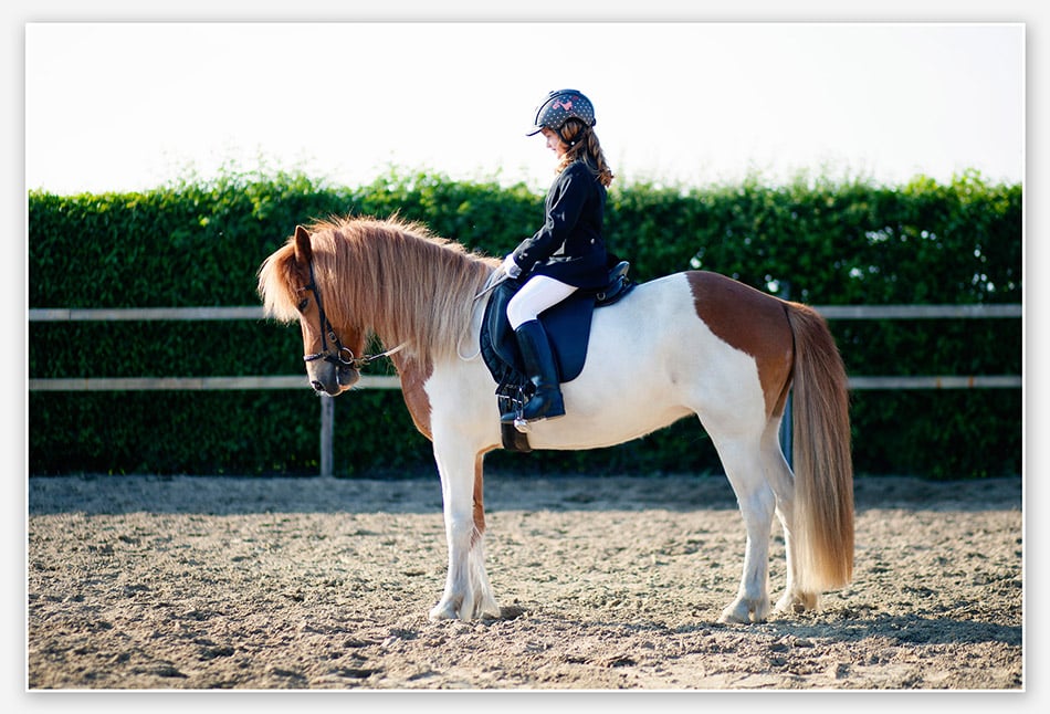 Groeten voor de jury