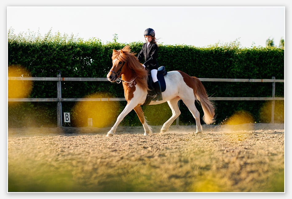 Met IJslander op de middencirkel 