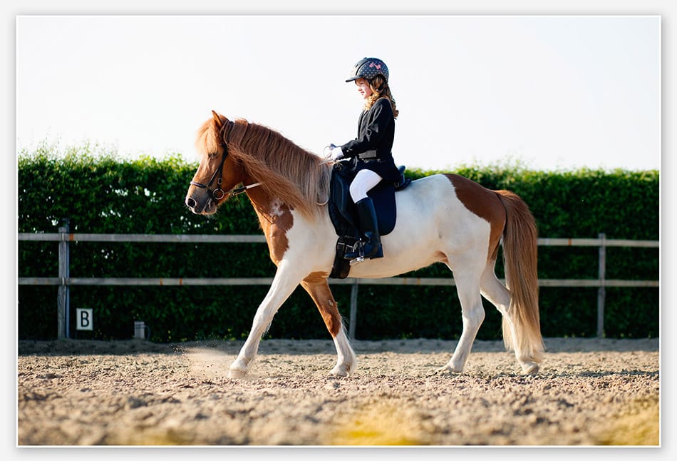 Keurige dressuurproef met IJslander