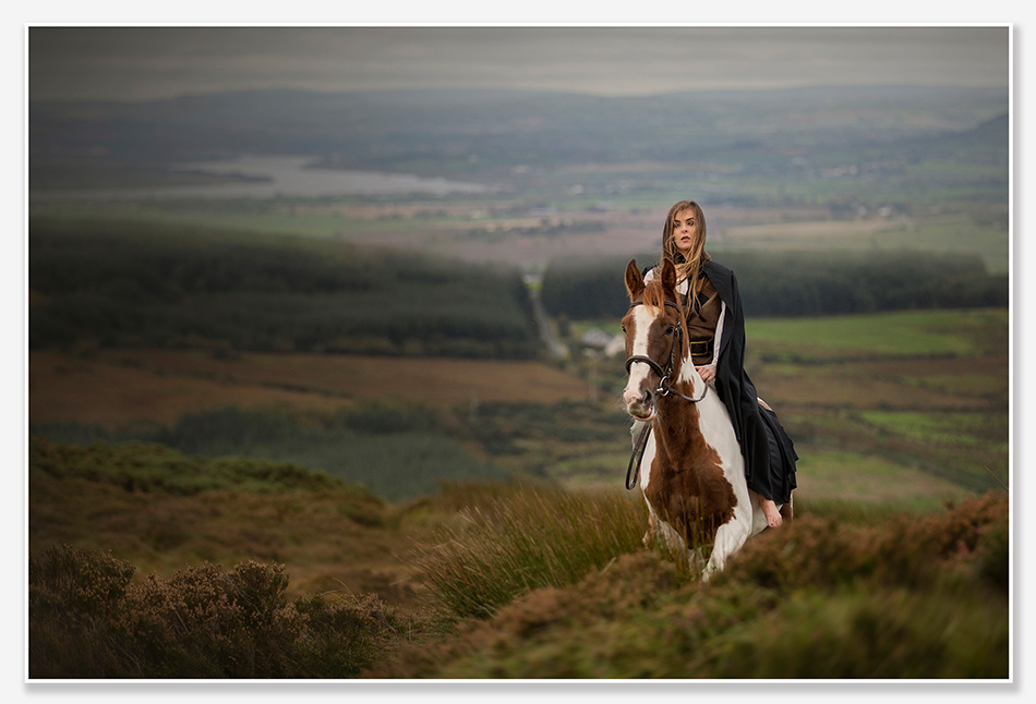 Paardenfotografie op de heide