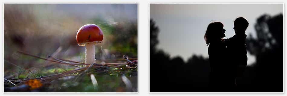 Portretfotografie_Udenhout Herfstsfeer in de Drunense Duinen