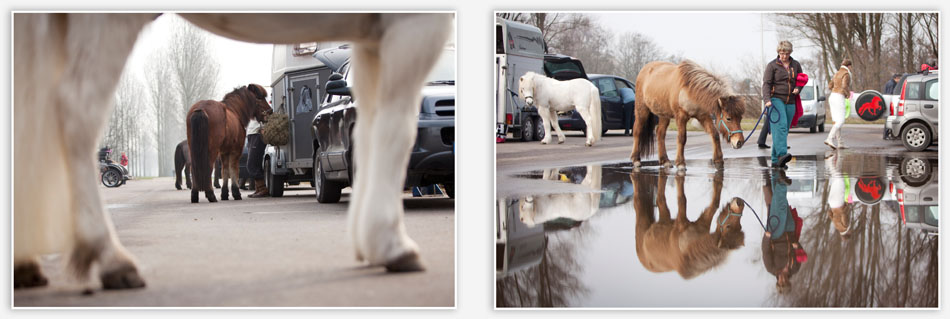 Paarden van rouwstoet bereiden zich voor op uitvaart