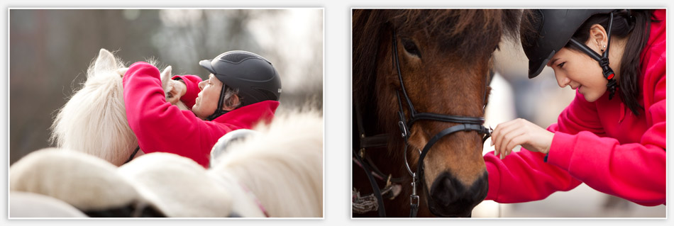 Voorbereiding van de paarden op de rouwstoet