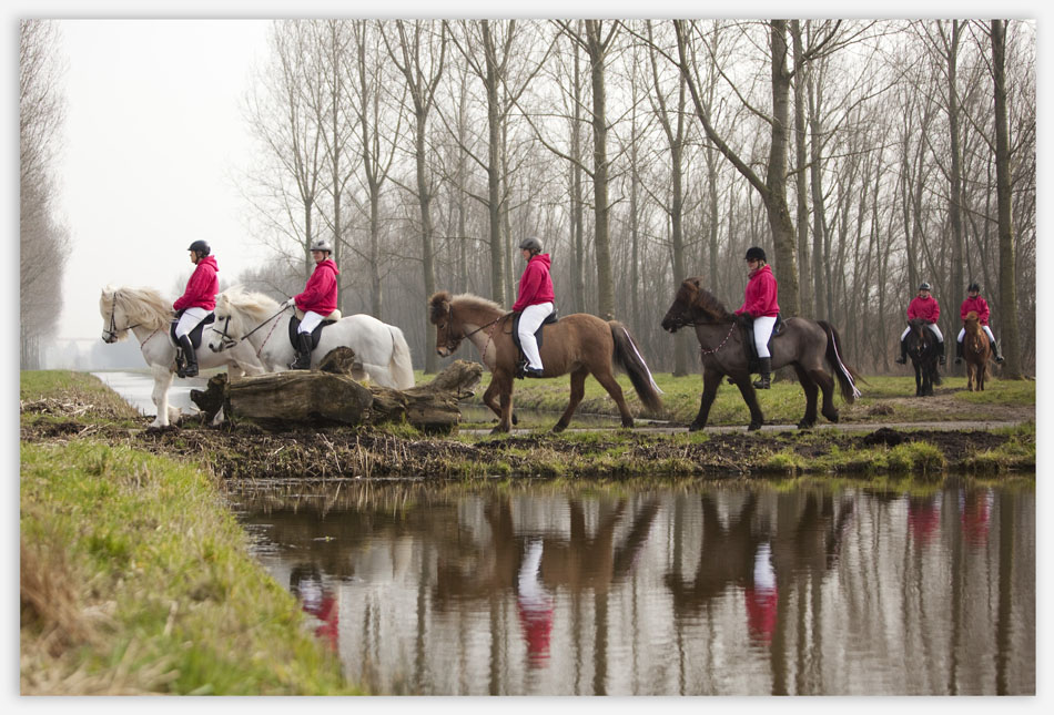 Paarden van de rouwstoet voor de uitvaart