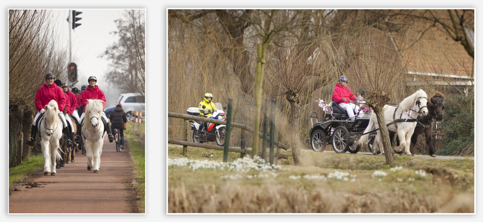 Ruiters en koets onderweg naar het crematorium