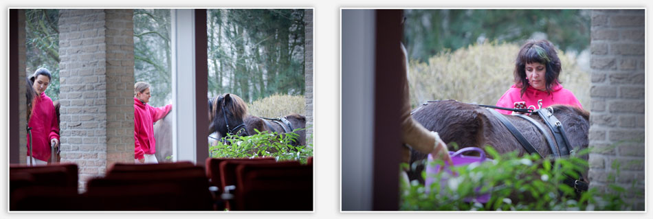 Paarden voor het crematorium tijdens de uitvaart