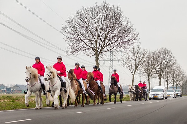 Soulmates Images_Afscheidsfotografie_09_rouwstoet met IJslandse paarden