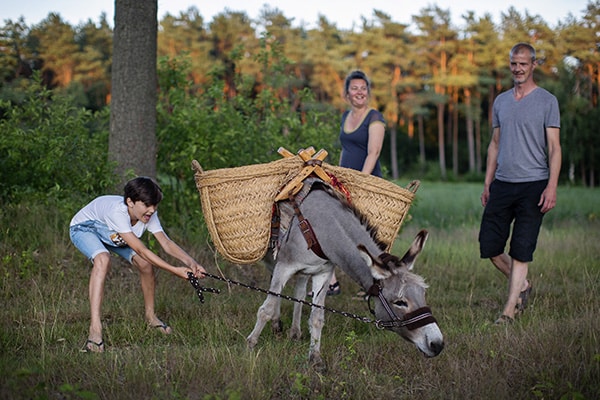 Soulmates Images_Familie-uitjes_06_stoute ezel tijdens ezelwandeling