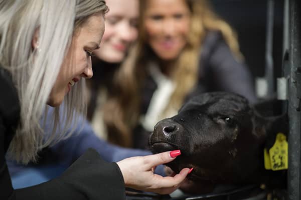 Soulmates Images_Familie-uitjes_10_kalfjes kroelen