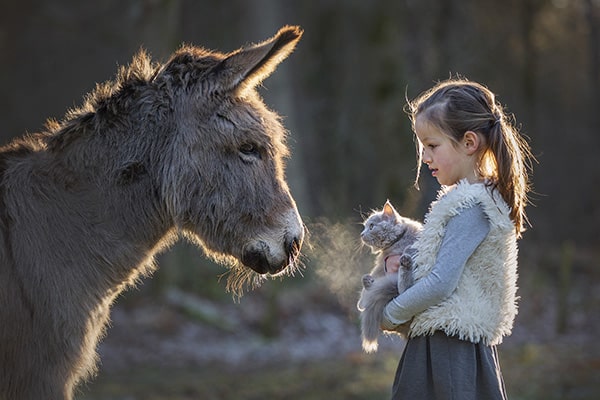 Soulmates Images_Kinderfotografie_06_meisje met ezel en kat