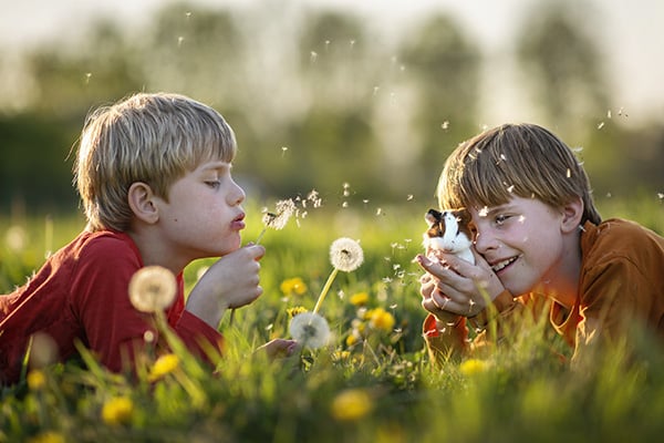 Soulmates Images_Kinderfotografie_13_broertjes met cavia en paardenbloemen