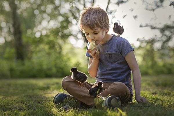 Soulmates Images_Kinderfotografie_14_jongen met kuikentjes