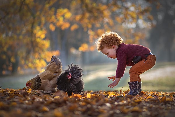 Soulmates Images_Kinderfotografie_15_jongen met kippen