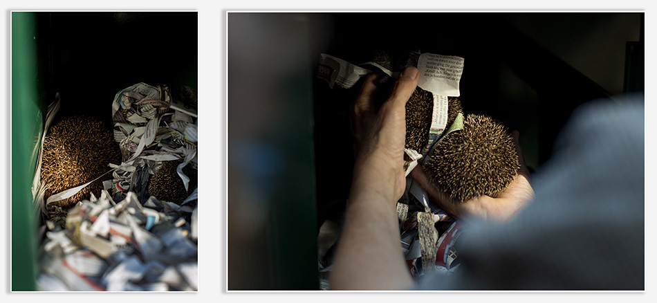 Moederegel met twee kinderen