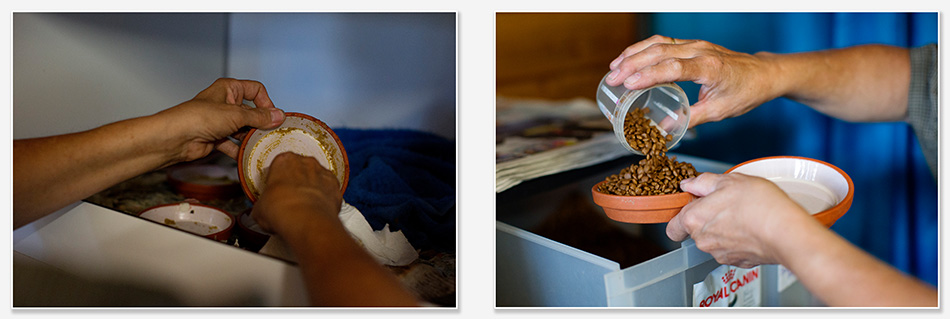 Schoonmaken van de hokken in het egelcentrum