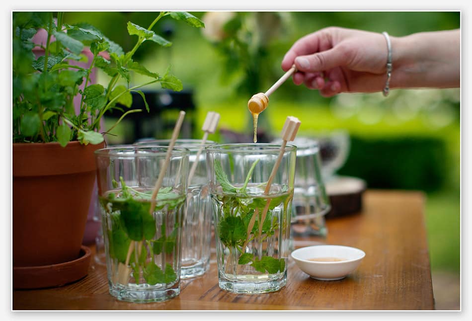 Verse muntthee met honing