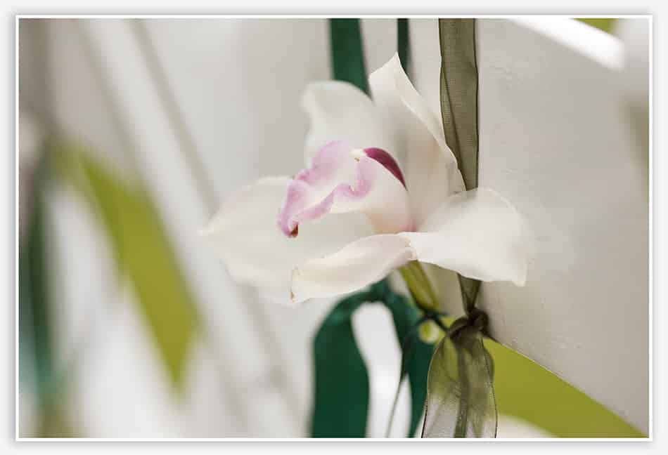Orchideeën als decoratie op de trouwdag 