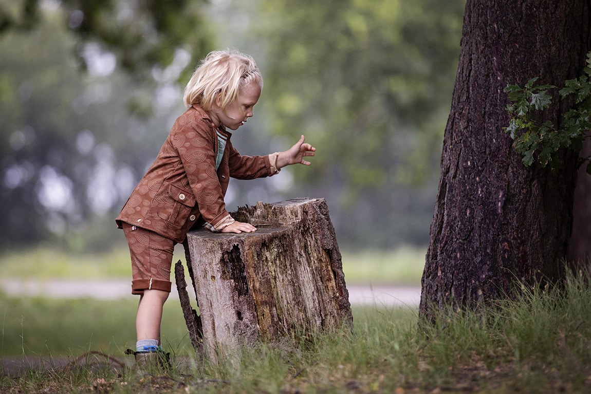 jongen speelt bij boomstronk