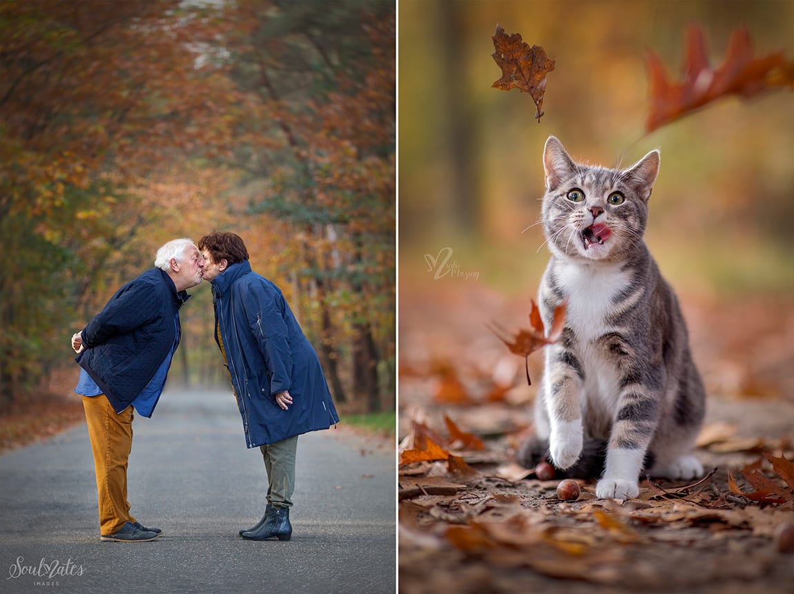 Familie in het herfstbos