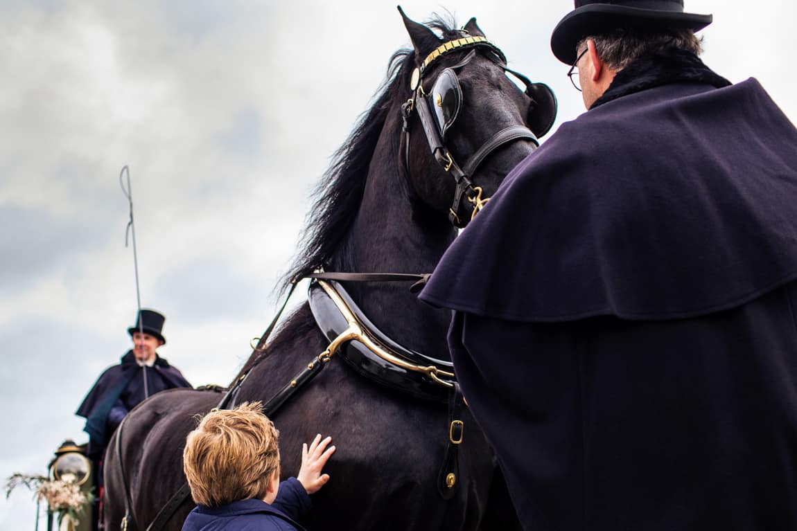 Bruidsjonker begroet Fries Paard