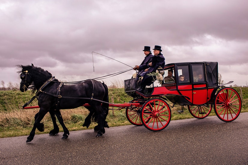 Landauer met Friese Paarden bij Trouwfotografie Alblasserdam