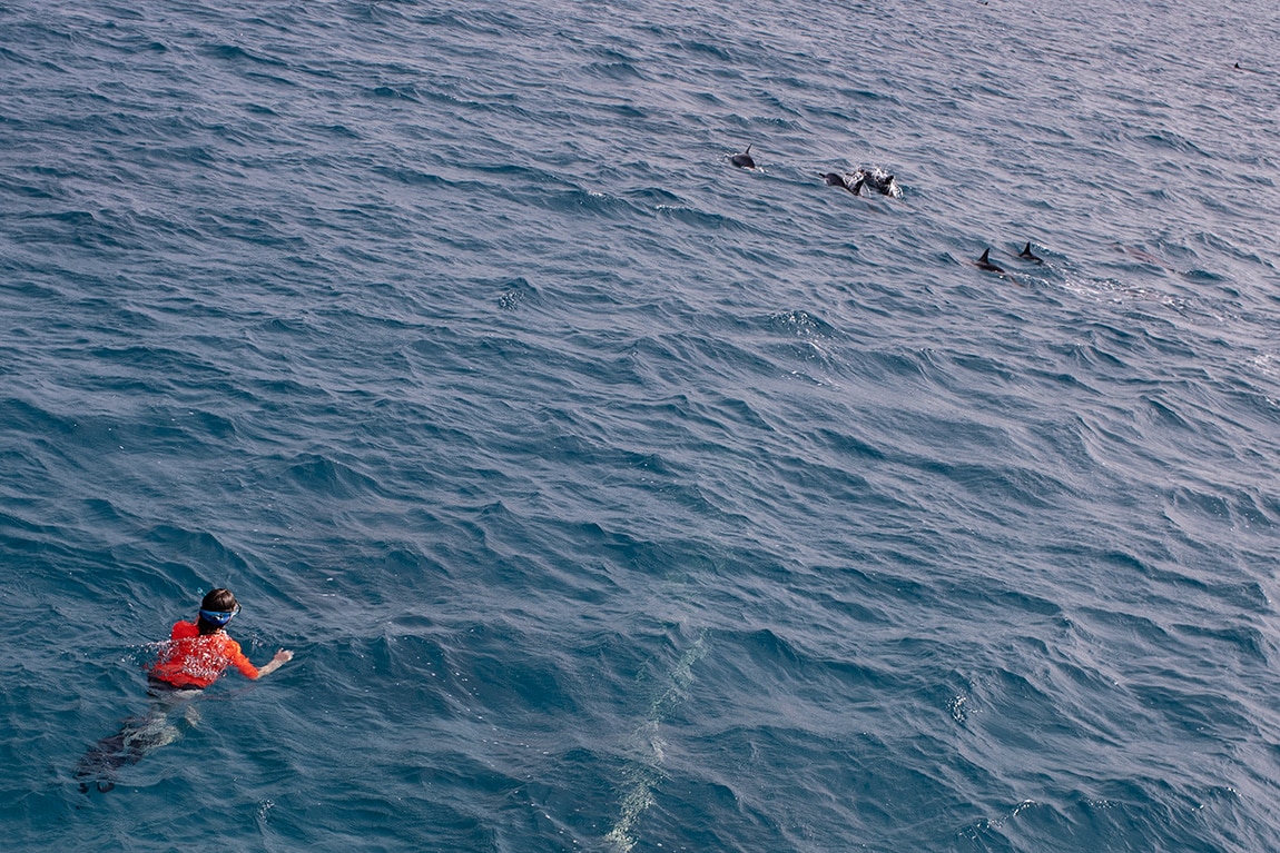 Magisch moment met de dolfijnen