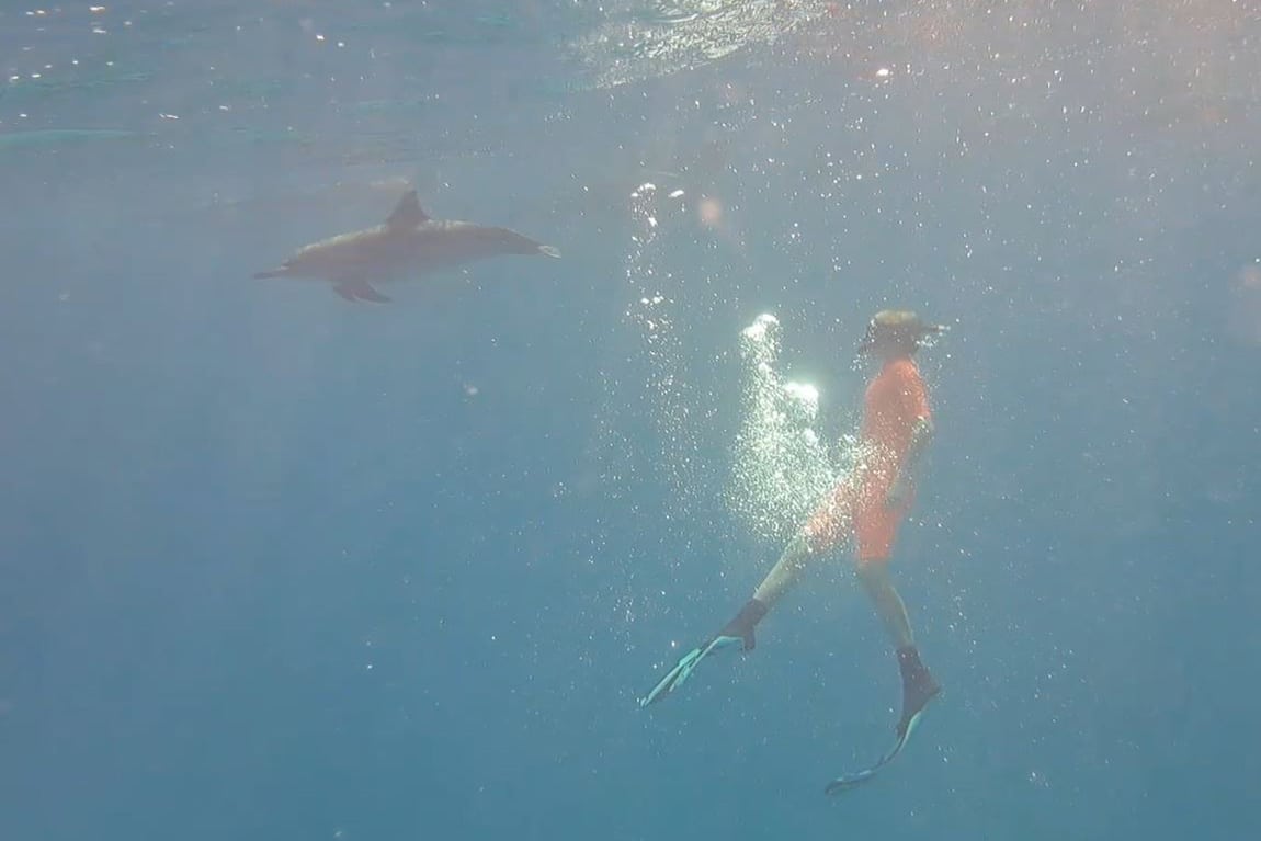 Magische ontmoeting onder water