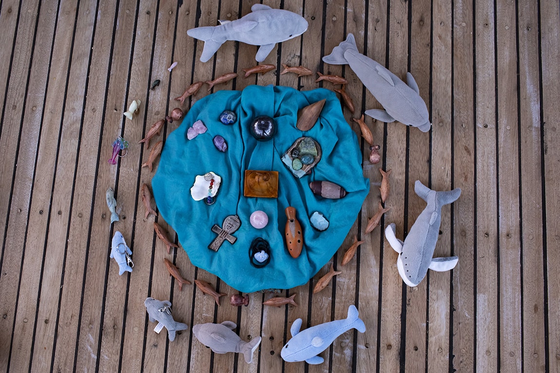 Mandala van dolfijnen 