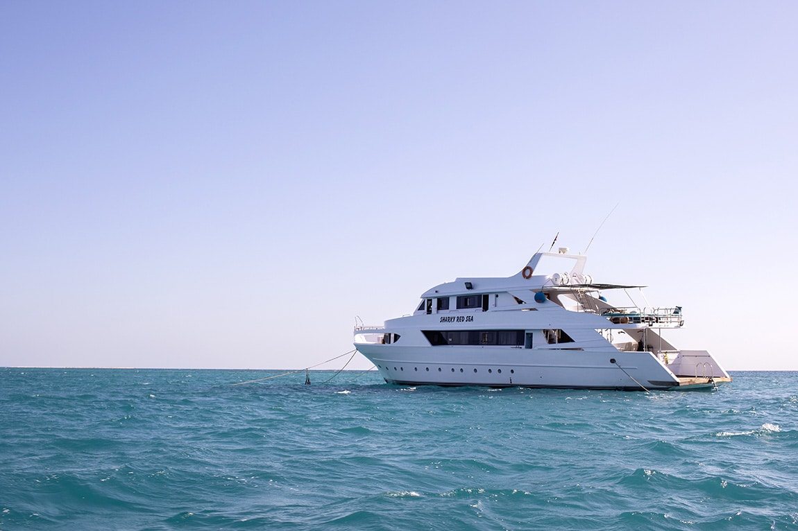 We moeten de boot achterlaten 