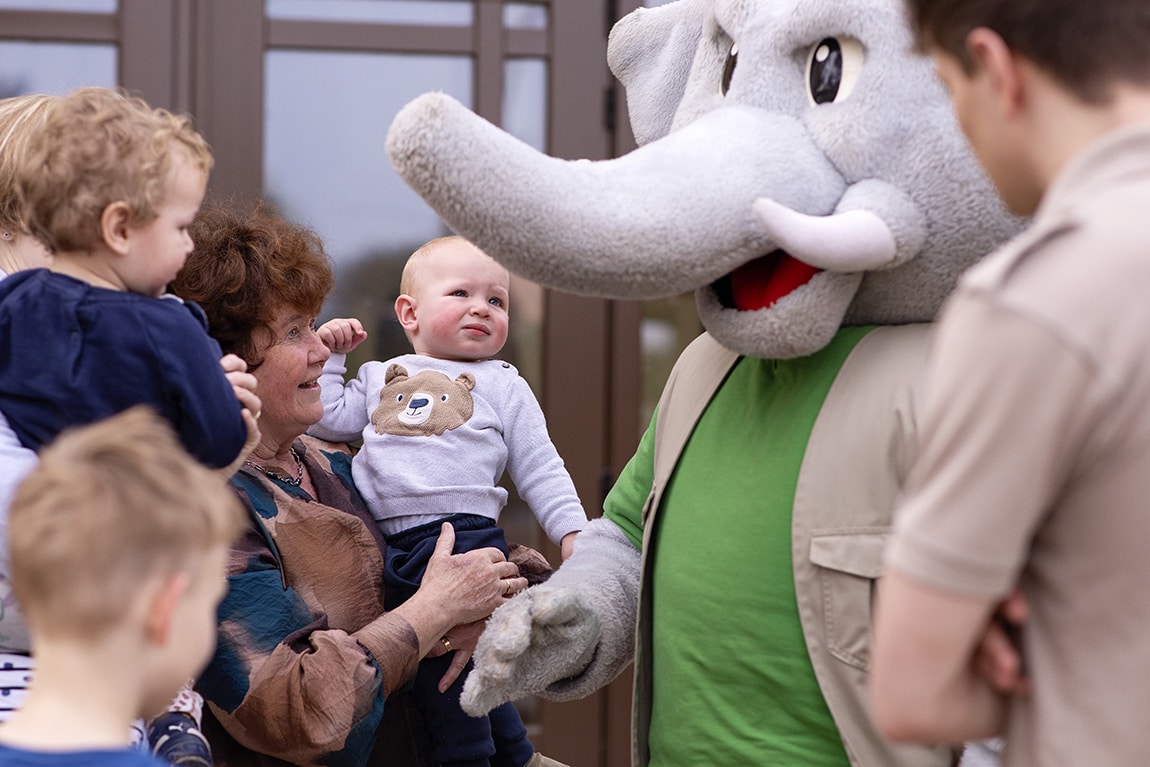 Verbazing over reuzen knuffel olifant
