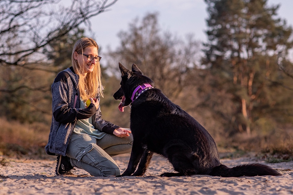 Hondenfotograie op de Sonse Heide