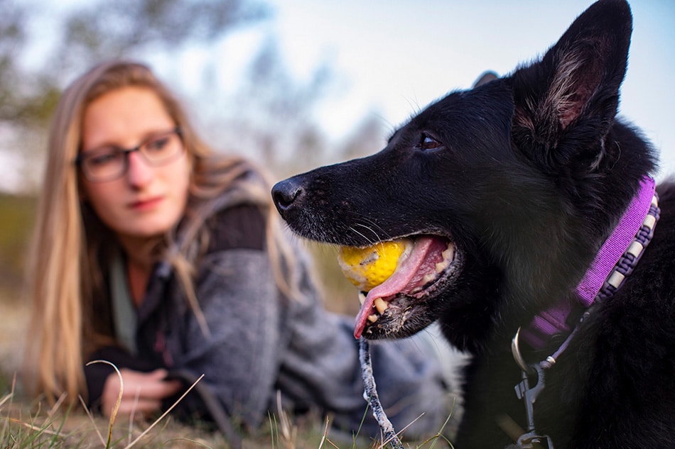 Zwarte herder met baasje
