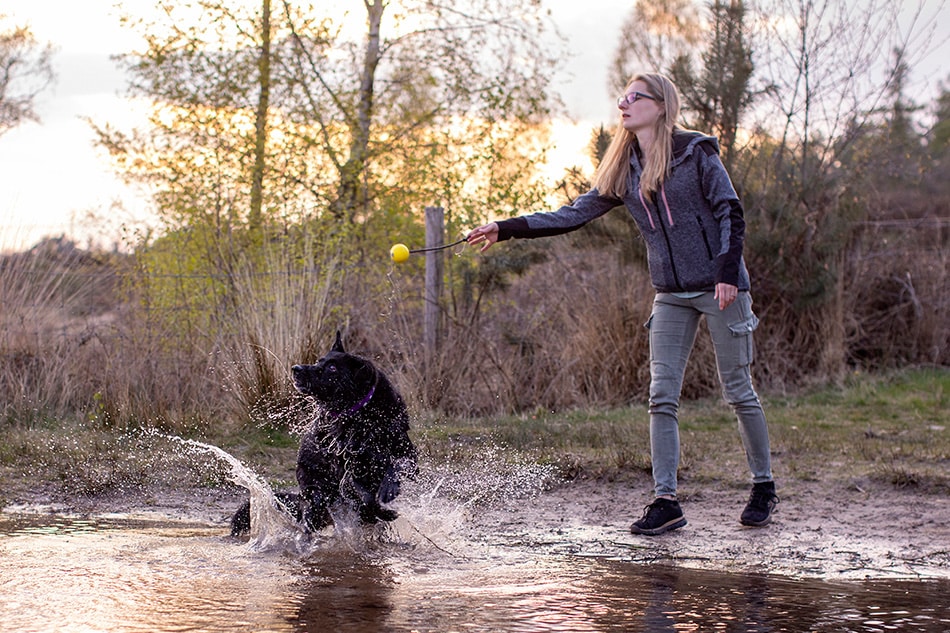 Hondenfotografie in het water