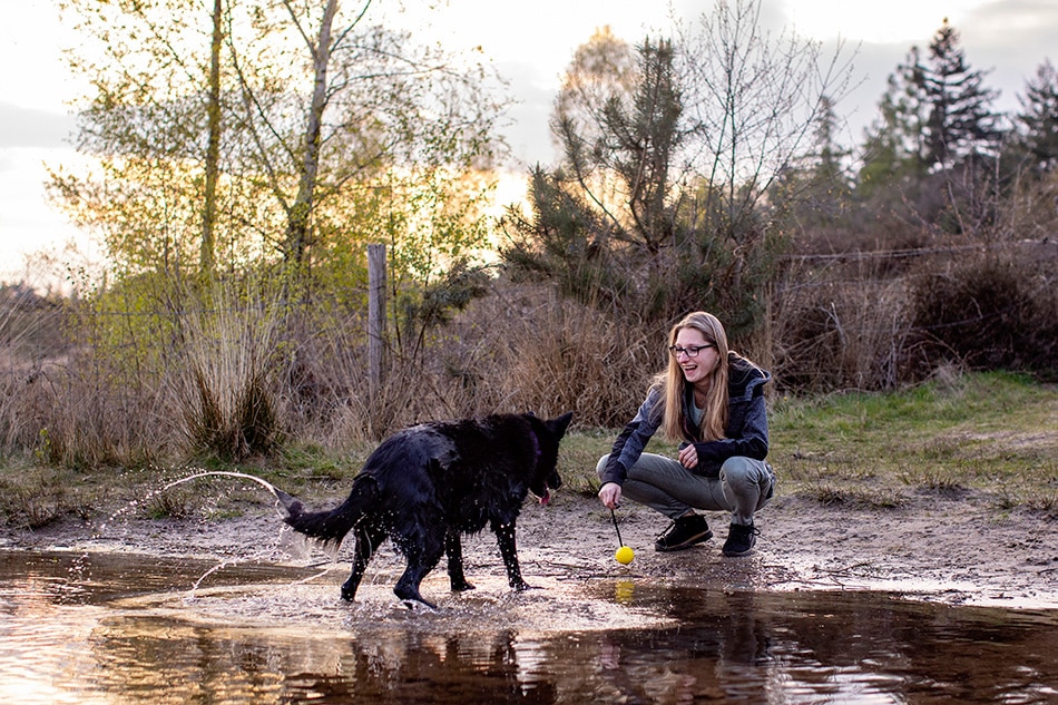 Honden, jouw beste vrienden
