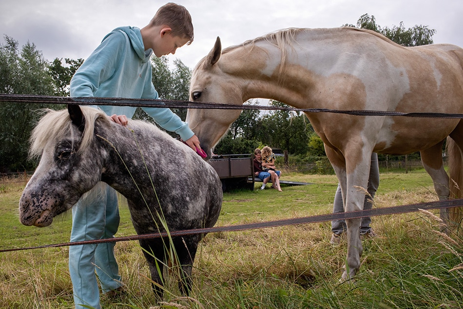 Familiereportage met paarden