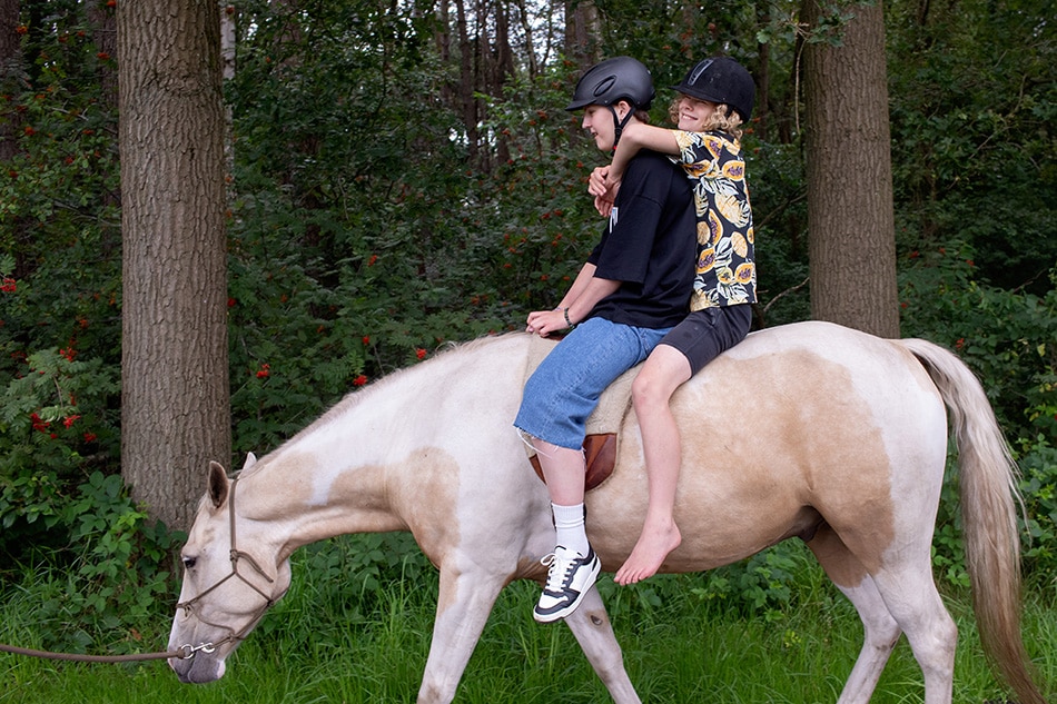 Broer en zus liefde op paard