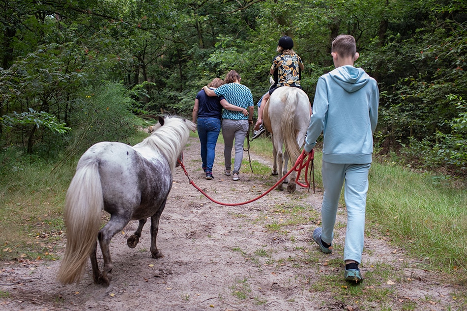 Familieuitje met paarden naar het bos