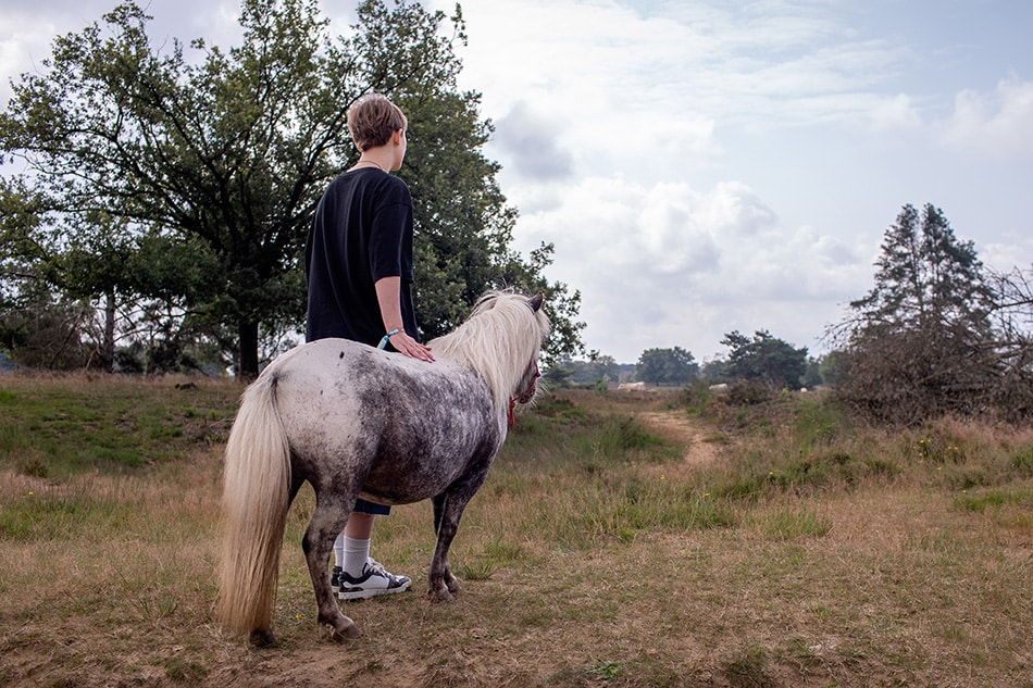 Liefde voor je pony