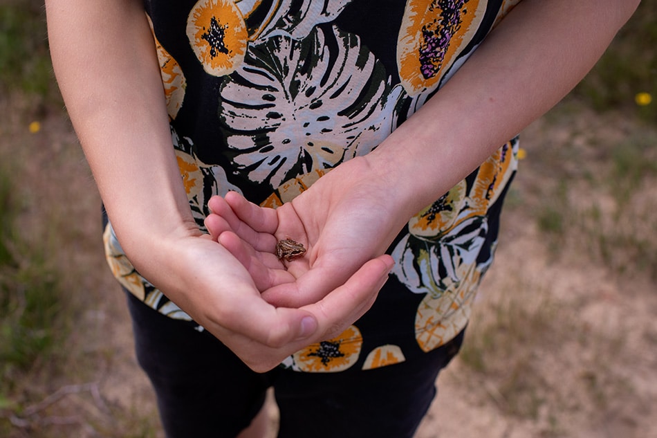 Kikker gevangen tijdens Day in a life reportage