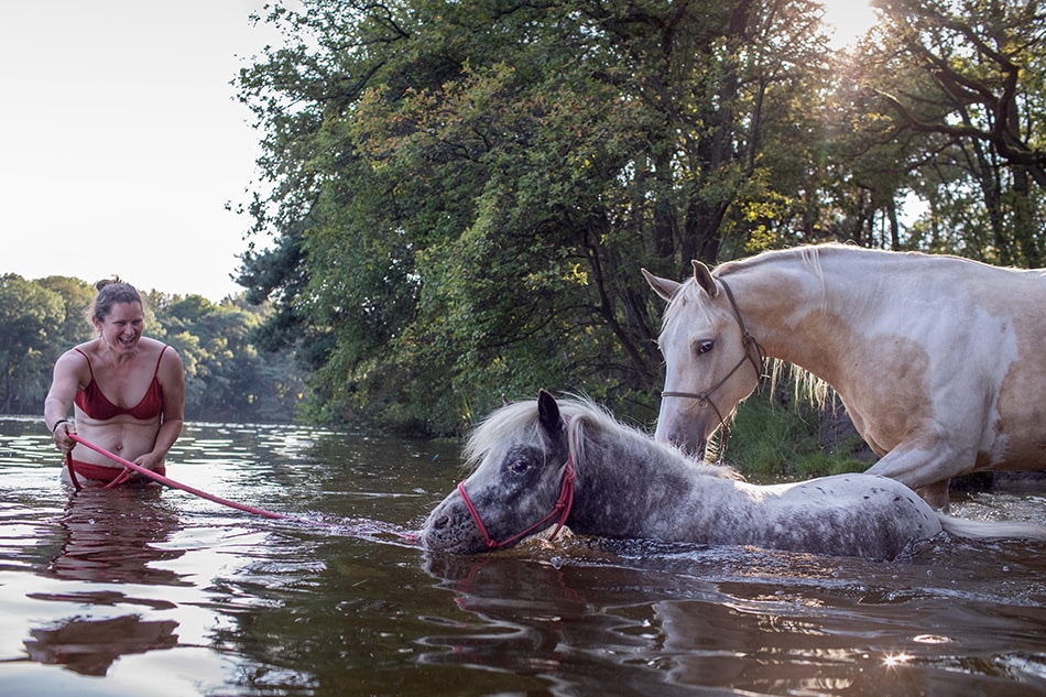 Met paarden zwemmen bij IJzeren Man