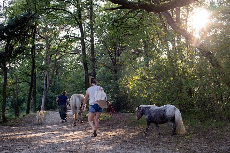 Familieuitje met beestenboel