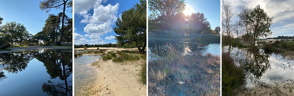 Locatie scouting voor fotoshoot in de Drunense Duinen