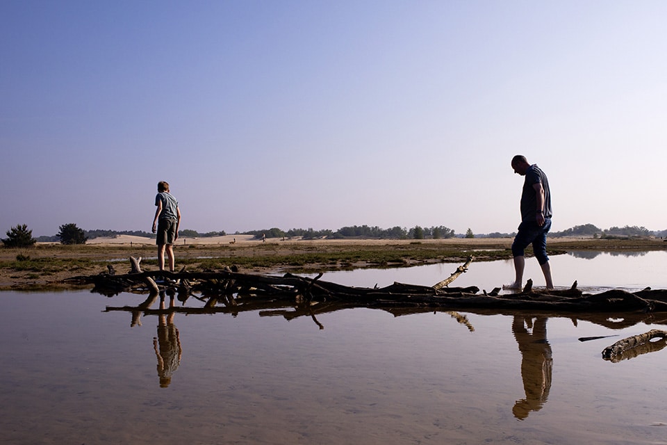 Udenhout aan zee in de Drunense Duinen