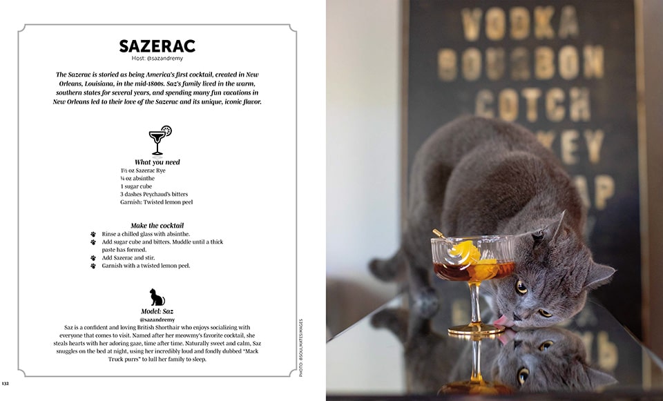 Cats and Cocktails recept
