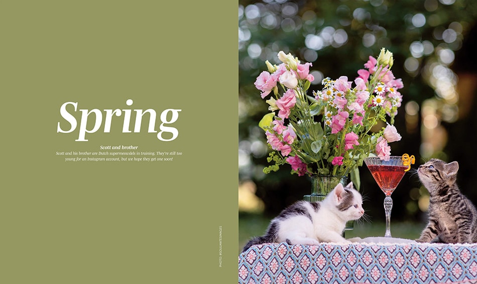 Cocktails voor de lente