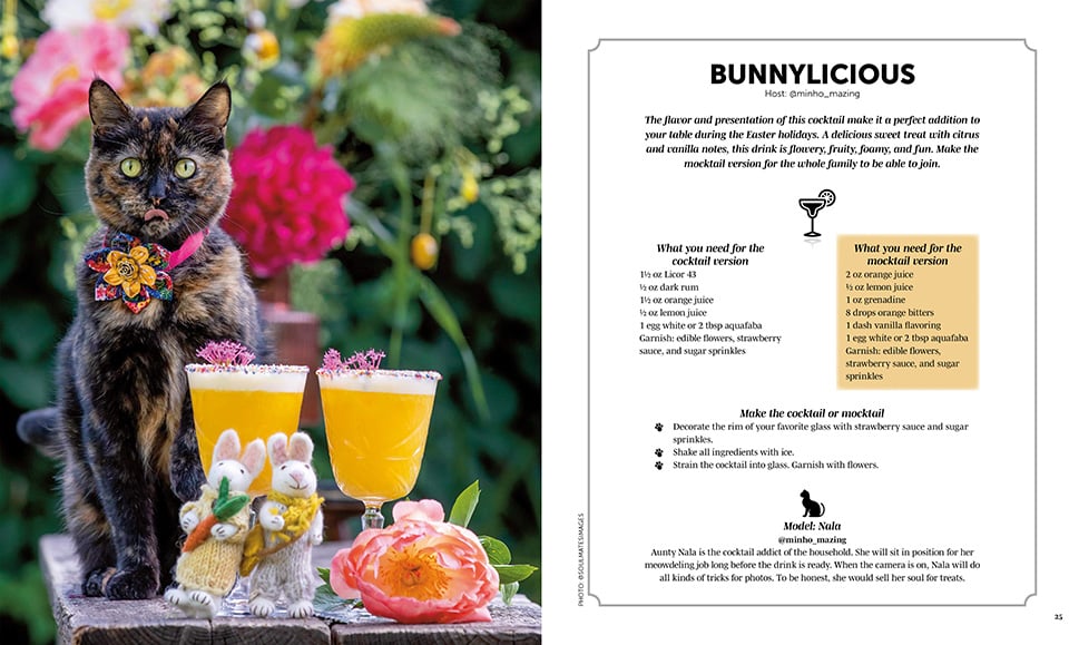 Cocktail en mocktail recept in Cats and Cocktails boek