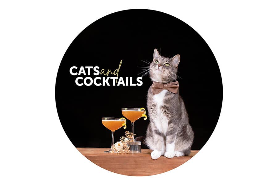 Cats and Cocktails