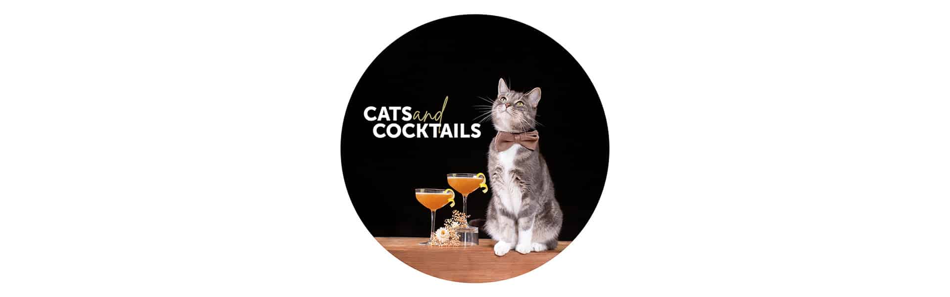 Cats and Cocktails